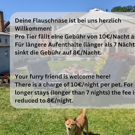 Hw3 - Urlaubsmagie - Helle, Grosse Wohnung Mit Pool Sebnitz Exterior foto